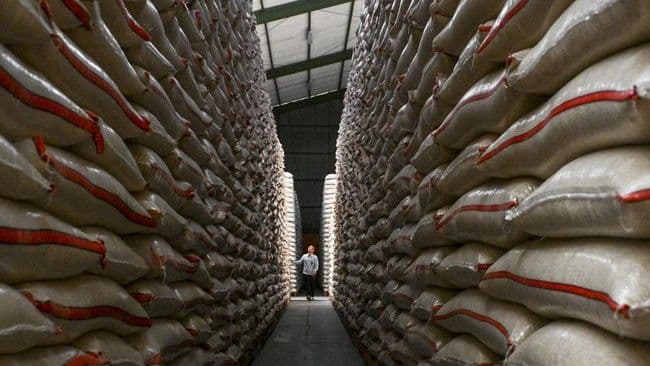 pemerintah_setujui_rp5_triliun_untuk_100_gudang_bulog_gunakan_teknologi_penyimpanan_modern