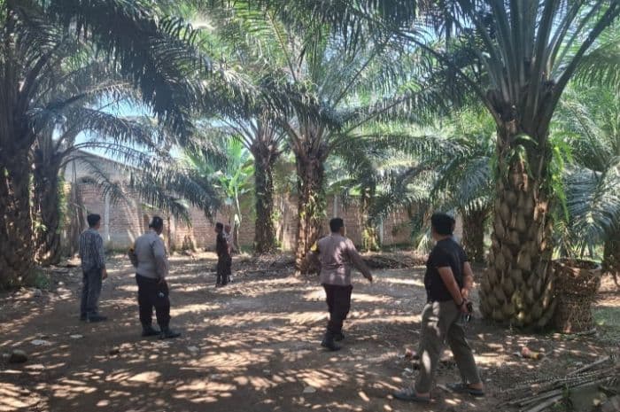 polisi_cek_dugaan_judi_sabung_ayam_di_pantai_labu_ini_hasilnya
