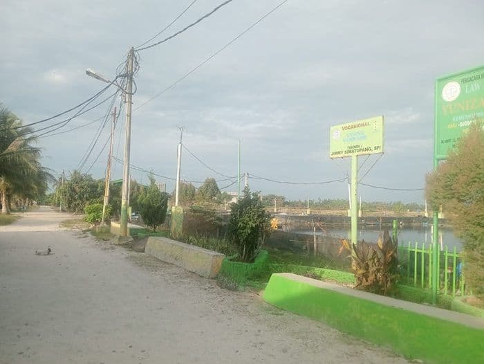 listrik_padam_24_jam_pengusaha_tambak_udang_di_sergai_menjerit