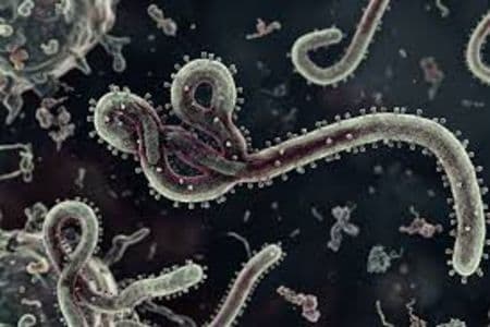 status_darurat_global_ebola_menkes_kita_sudah_mitigasi