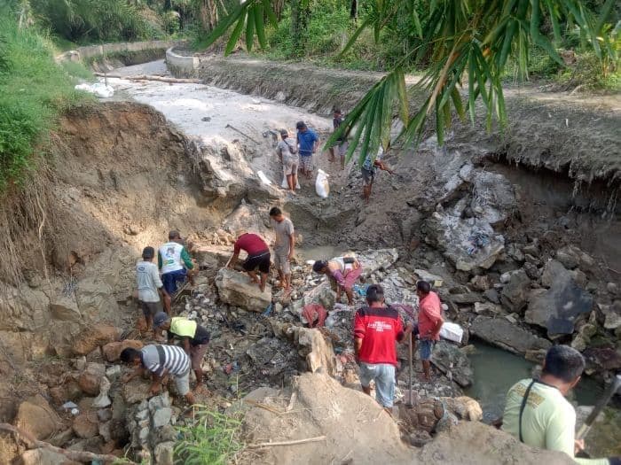 irigasi_rusak_400_hektare_sawah_di_hutabayu_raja_terancam_gagal_tanam
