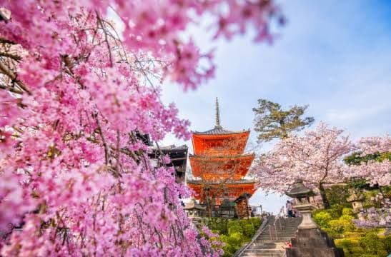 jepang_naikkan_tarif_visa_mulai_juli_2026_biaya_masuk_tembus_rp16_juta