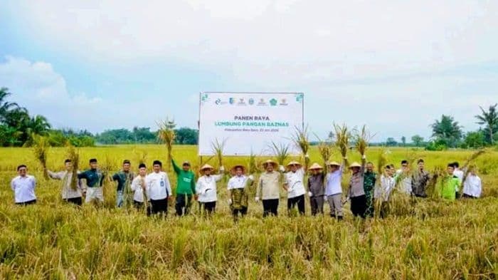bupati_batu_bara_dan_ketua_baznas_ri_panen_raya_petani_serahkan_zakat_rp16_juta
