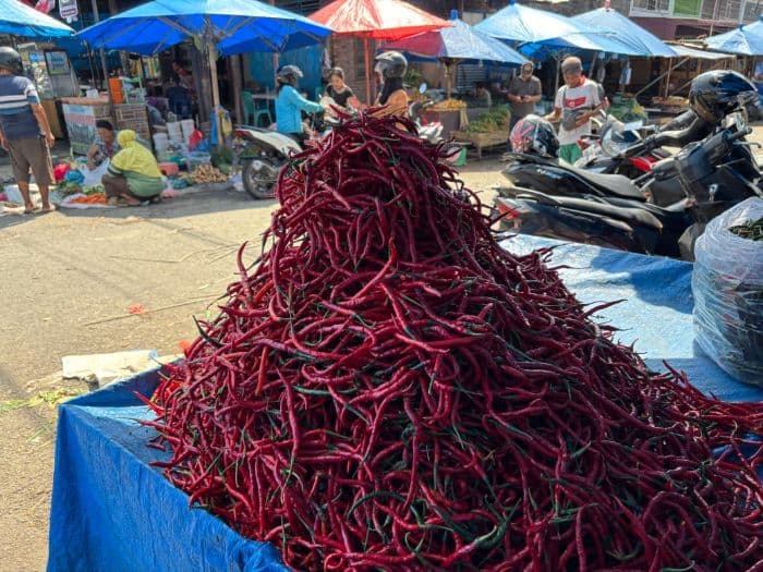 harga_cabai_rawit_di_siantar_makin_pedas