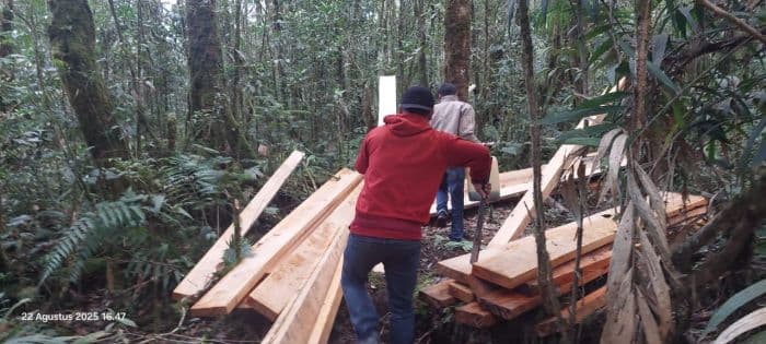 perambahan_hutan_lindung_lae_pondom_di_dairi_makin_marak