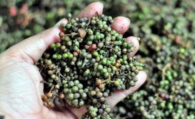 manisnya_harapan_petani_toba_di_balik_getir_andaliman