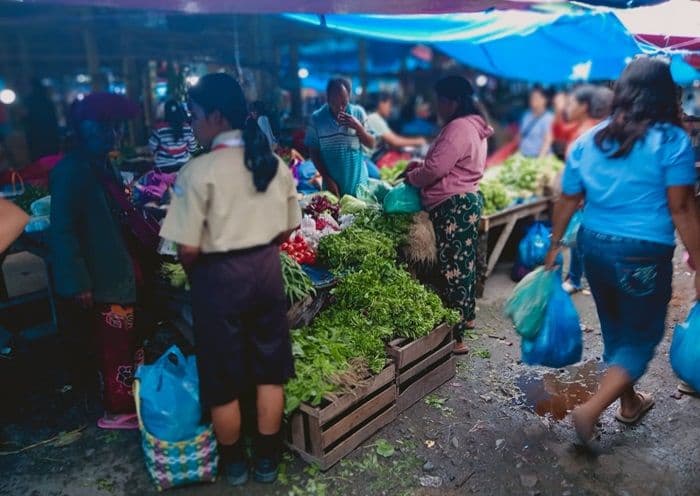 harga_bahan_pokok_di_samosir_berfluktuasi_cabai_merah_naik_jadi_rp55_ribu
