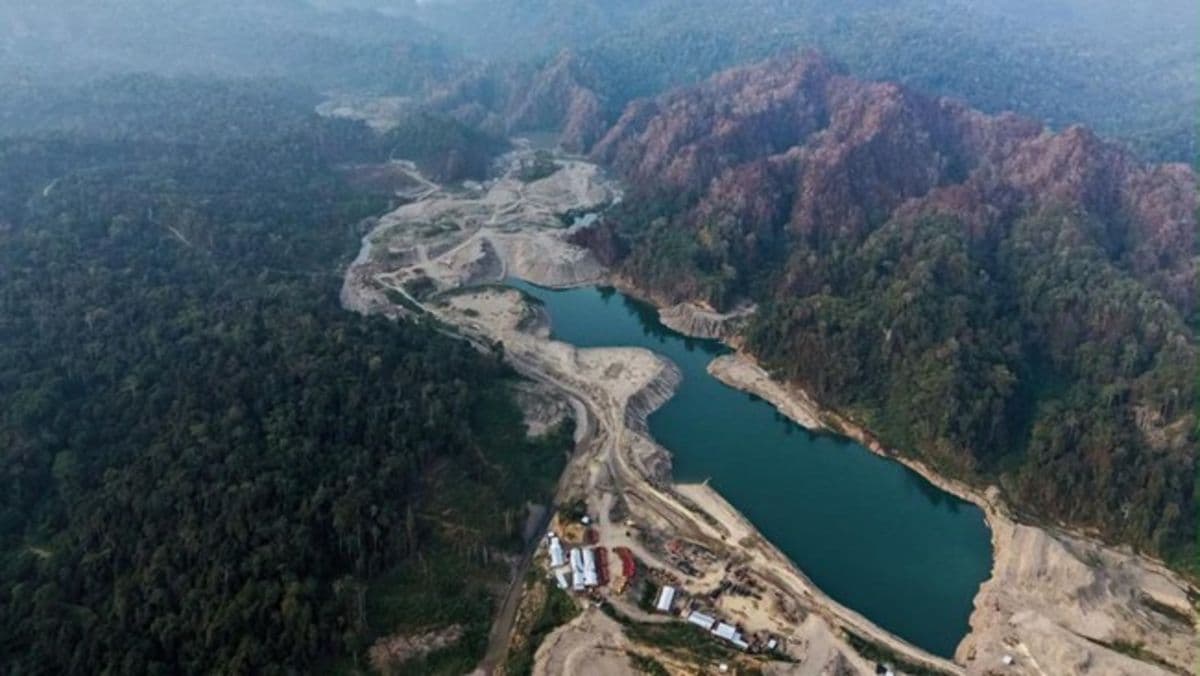 satgas_pkh_tertibkan_tambang_emas_275_hektare_di_papua_antam_disiapkan_jadi_operator