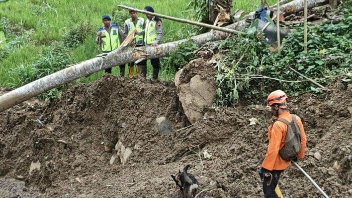 update_korban_longsor_banjarnegara_14_orang_tewas_15_masih_dicari_