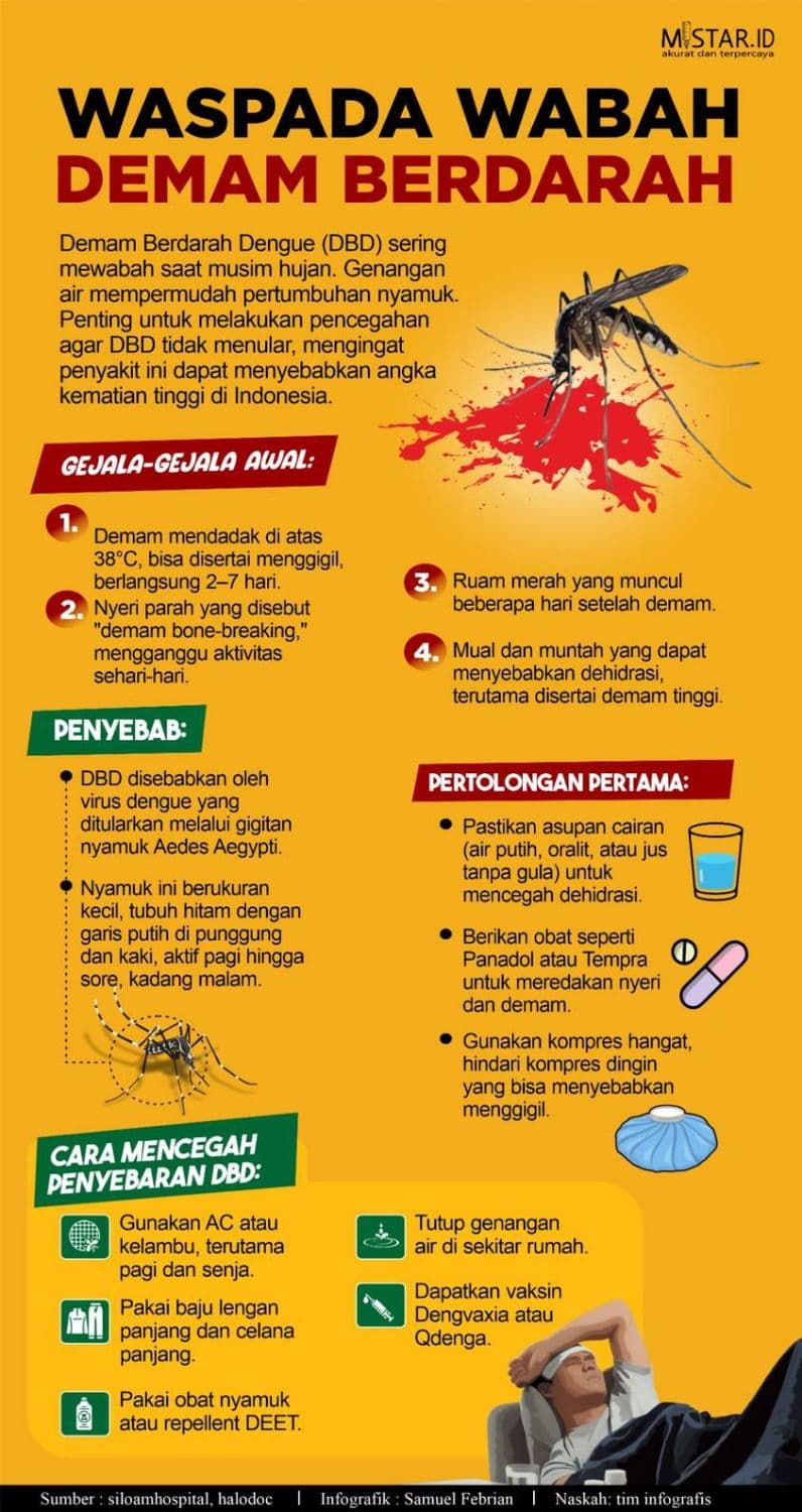 Waspada Wabah Demam Berdarah