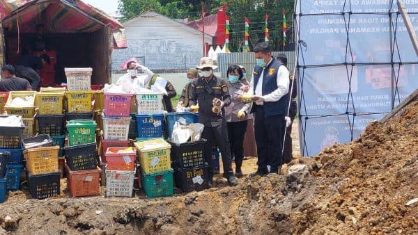 polda_sumut_kubur_empat_ton_mangga_asal_thailand_tanpa_dokumen