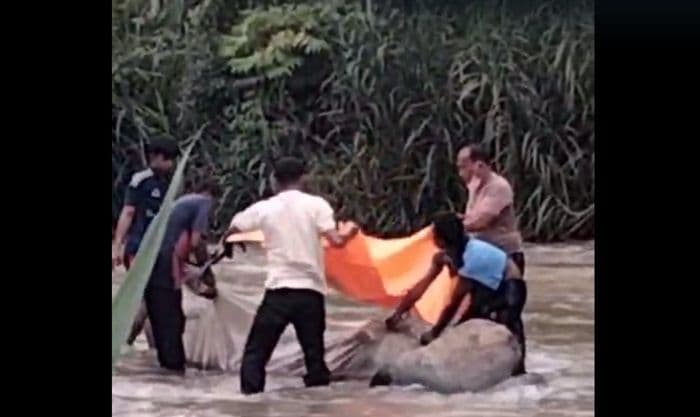 mayat_pria_di_sungai_lau_gunung_teridentifikasi_polisi_ungkap_dugaan_terkait_penggerebekan_narkoba