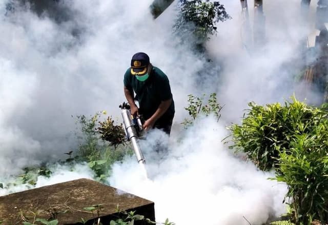 cegah_dbd_dinkes_tapteng_masif_lakukan_fogging_hingga_penaburan_bubuk_abate