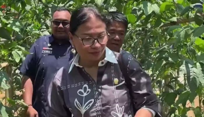 dameria_kebun_pkk_sidomulyo_medan_tuntungan_contoh_ketahanan_pangan_di_tengah_kota_