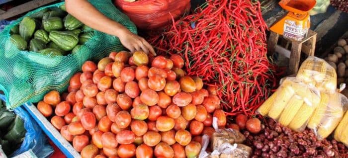 harga_tomat_di_medan_utara_melonjak_hingga_rp25_ribu_per_kilogram