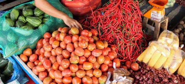 harga_tomat_di_medan_utara_melonjak_hingga_rp25_ribu_per_kilogram