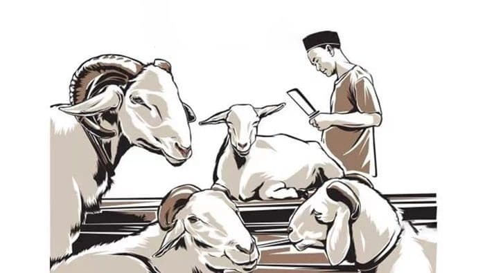 rph_pematangsiantar_sembelih_19_ekor_hewan_per_hari_pastikan_kualitas_daging_terjaga