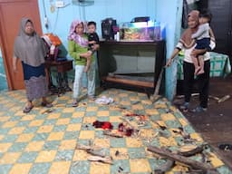 babi_hutan_mengamuk_di_permukiman_warga_tanjung_beringin_seorang_penghuni_rumah_terluka