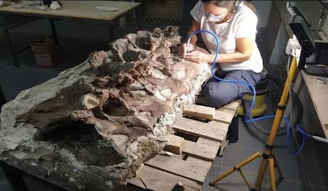 dinosaurus_berleher_panjang_dengan_anatomi_unik_ditemukan_di_argentina
