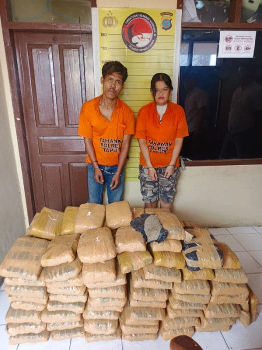 polres_taput_tangkap_dua_kurir_narkoba_112_paket_ganja_kering_disita_usai_kecelakaan