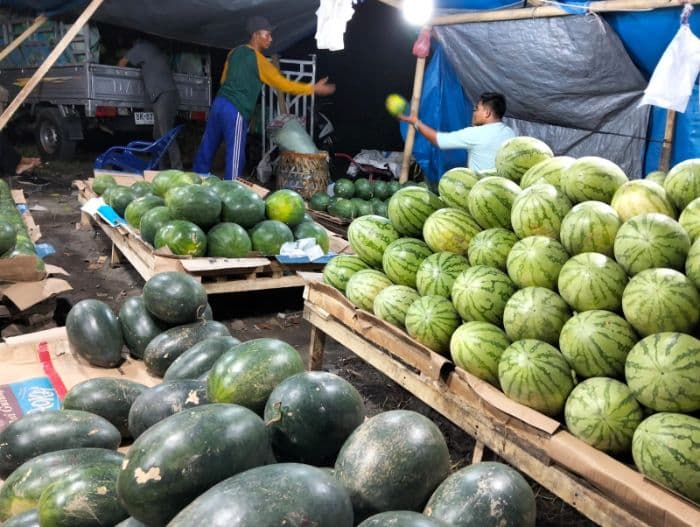 harga_buah_di_lubuk_pakam_merangkak_naik
