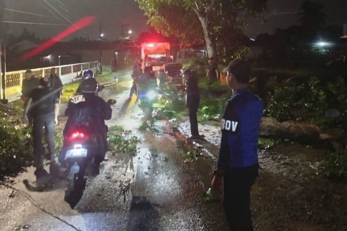 hujan_dan_angin_kencang_di_binjai_banyak_pohon_tumbang