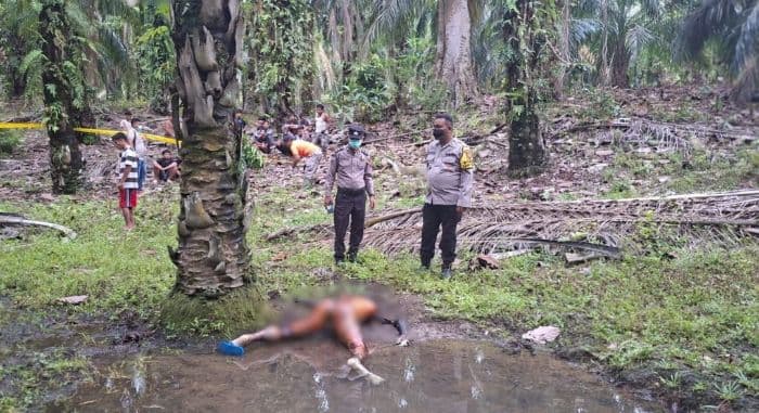 pria_67_tahun_ditemukan_telungkup_tanpa_busana_di_kebun_sawit_sibodak