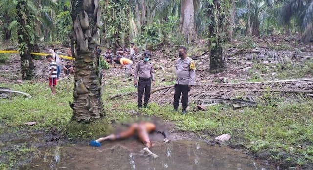 pria_67_tahun_ditemukan_telungkup_tanpa_busana_di_kebun_sawit_sibodak