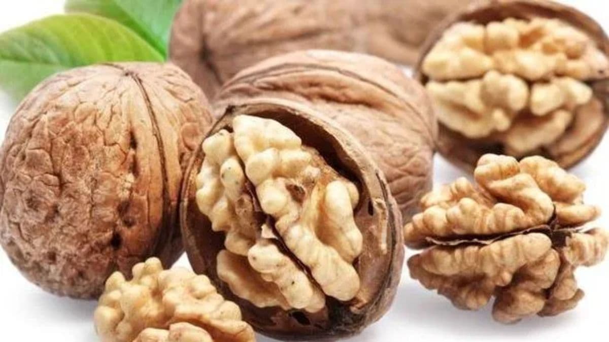 makan_kacang_kenari_bisa_bantu_tidur_lebih_cepat