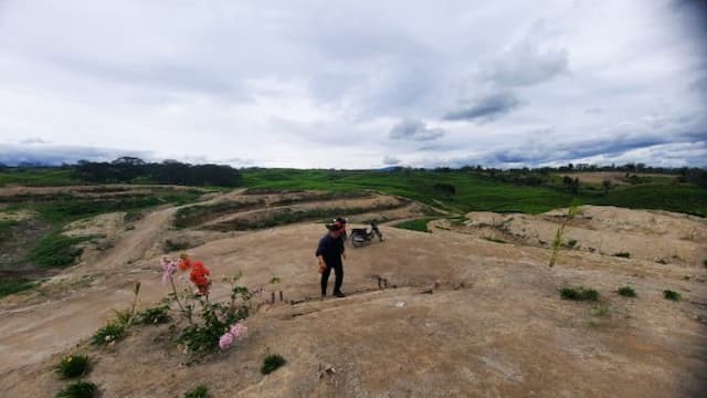 alih_fungsi_kebun_teh_sidamanik_jadi_sawit_picu_krisis_air_dan_ancam_pertanian_warga