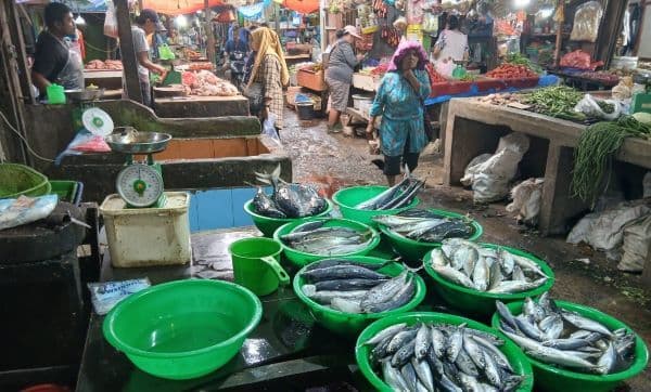 cuaca_buruk_pedagang_di_pematangsiantar_beralih_jual_ikan_tongkol_