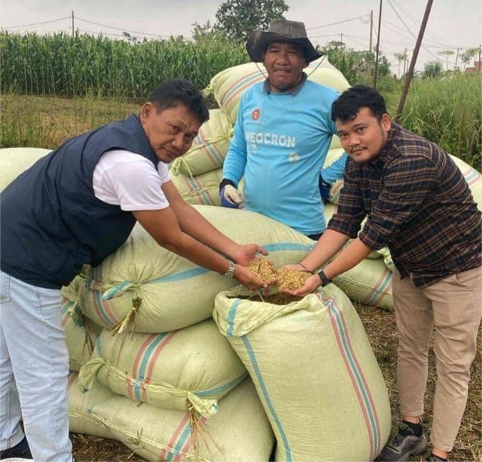 bulog_siantar_beberkan_kendala_penyerapan_gabah