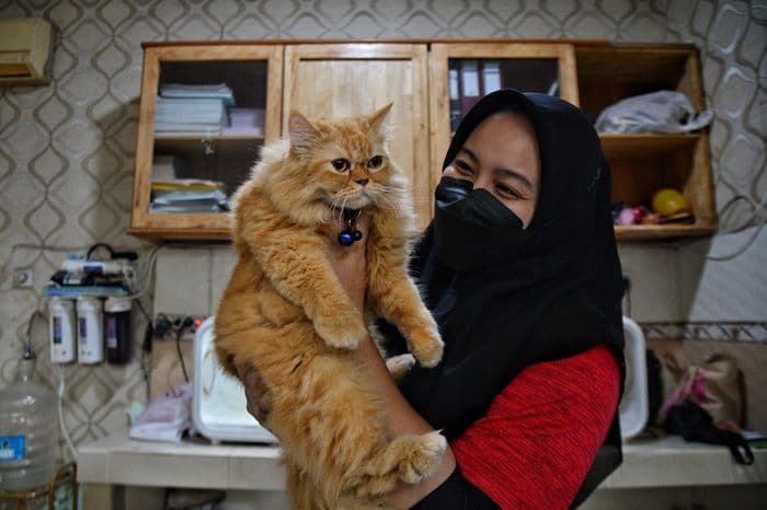 jasa_penitipan_hewan_peliharaan_laris_dipesan_jelang_mudik_lebaran_di_medan