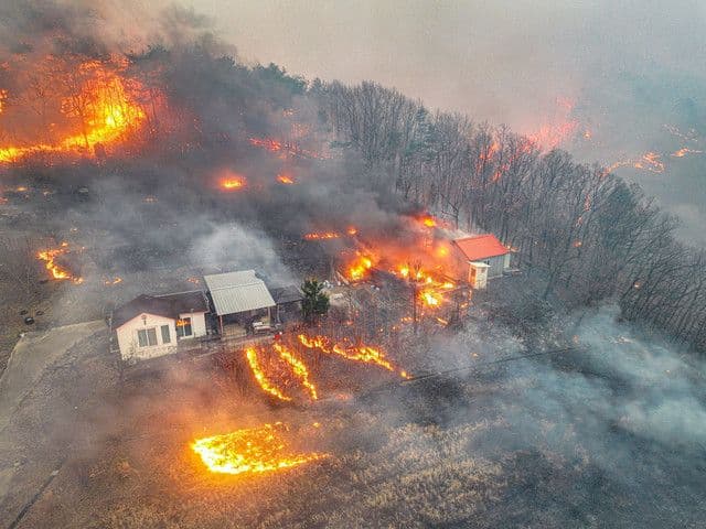 puluhan_ribu_hektar_hutan_korsel_terbakar_empat_tewas_dan_evakuasi_tiga_ribu_warga