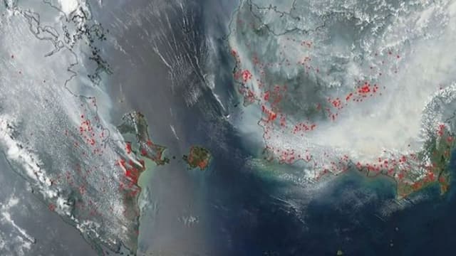 data_satelit_landsat_sumbang_256_miliar_dolar_as_nasa_luncurkan_fitur_interaktif_baru