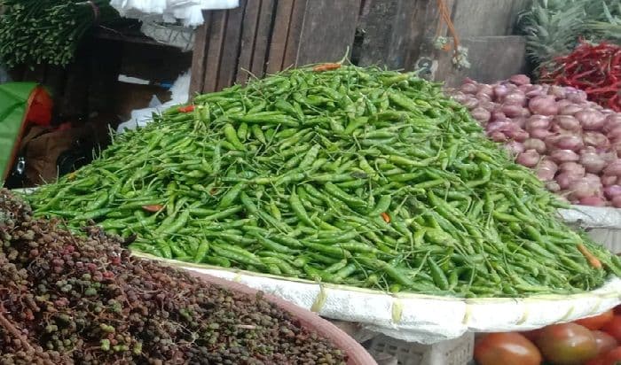 harga_cabai_anjlok_di_toba_petani_menjerit_jual_hanya_rp10_ribu_per_kg