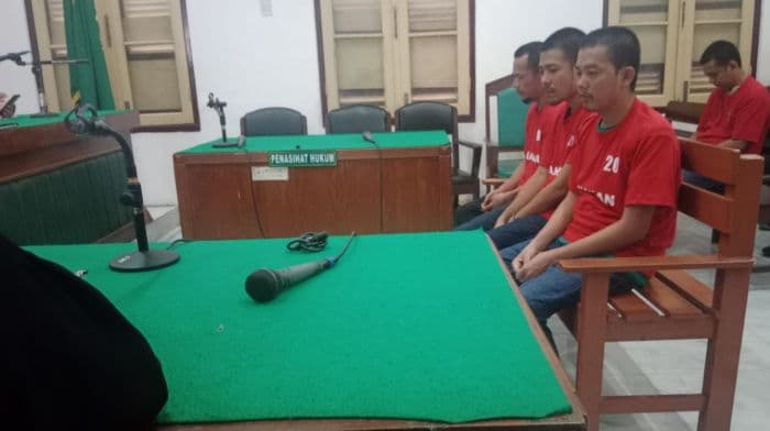 diadili_di_pn_medan_tiga_kurir_151_kg_ganja_terancam_hukuman_mati
