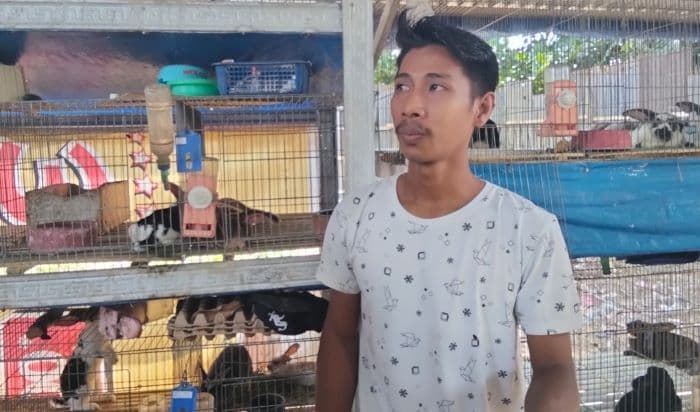 maling_kelinci_resahkan_warga_marindal_kerugian_capai_rp10_juta