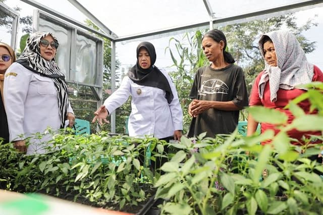 kwt_di_pematangsiantar_dorong_ketahanan_pangan_lewat_pekarangan_rumah