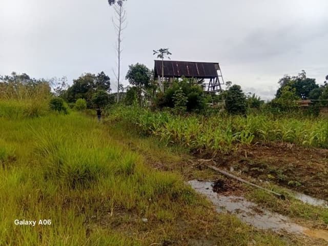 pppn_tuding_mantan_bupati_taput_kuasai_tanah_adat_di_bonapasogit