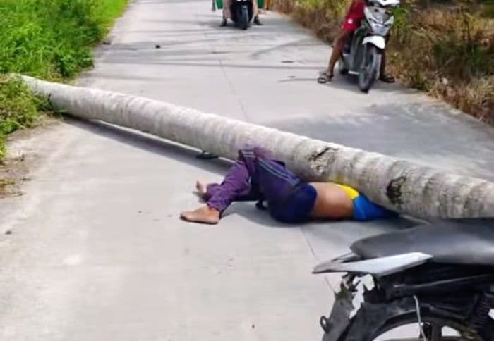 pohon_kelapa_tumbang_di_nibung_hangus_batu_bara_tewaskan_satu_orang_satu_lagi_terluka