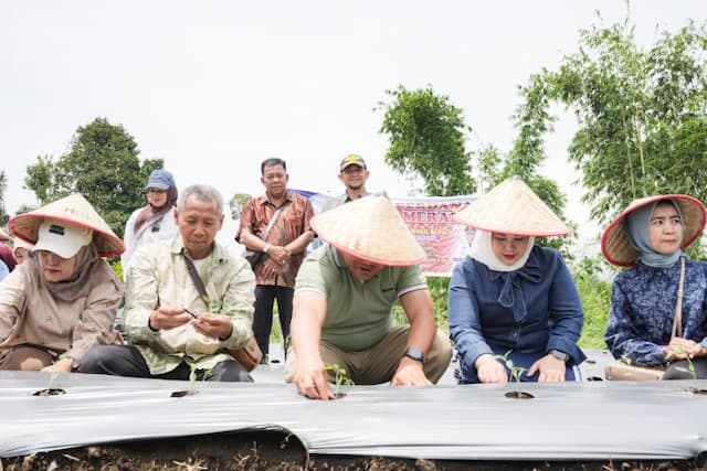bupati_deli_serdang_pinjamkan_4_hektare_lahan_untuk_petani_cabai_di_sibolangit