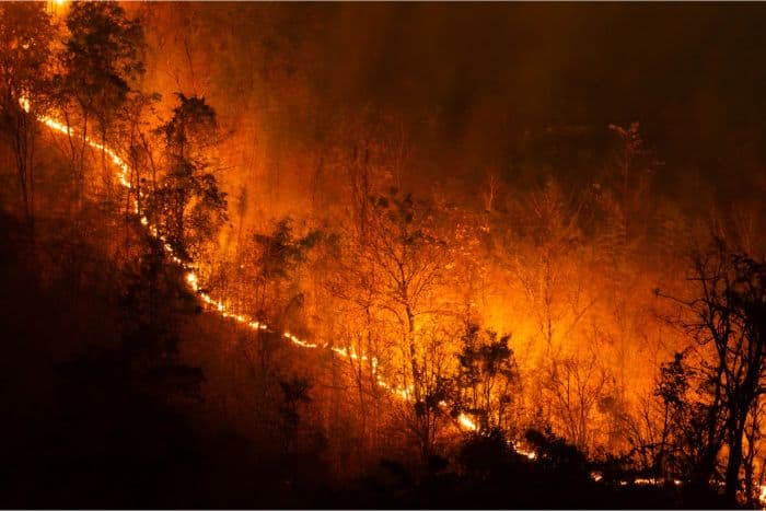 cuaca_makin_panas_dan_kering_eropa_hadapi_ancaman_kebakaran_hutan_meluas