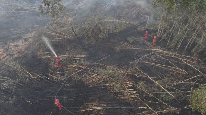 empat_hektare_lahan_di_gunung_geulis_sukabumi_terbakar