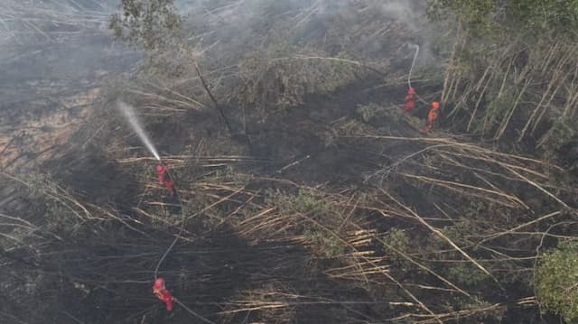 empat_hektare_lahan_di_gunung_geulis_sukabumi_terbakar