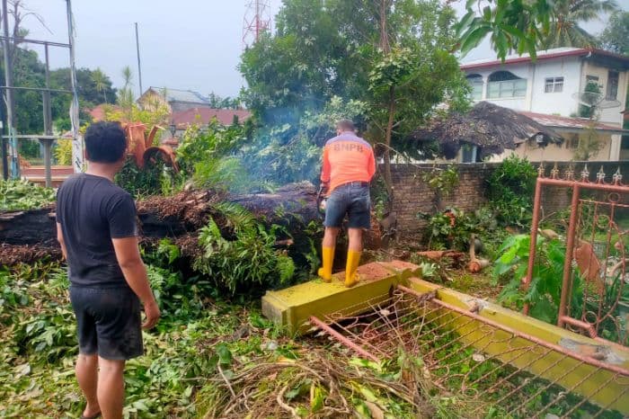 96_kk_terdampak_hujan_deras_dan_angin_kencang_di_pematangsiantar_51_pohon_tumbang
