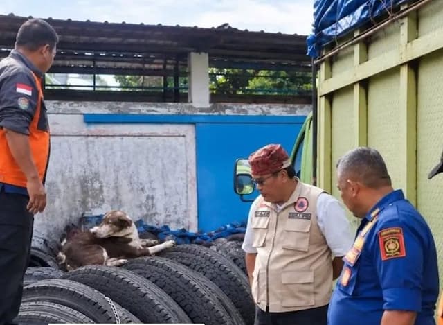 anjing_penyerang_sembilan_warga_sinaksak_mati_vaksinasi_massal_disiapkan_