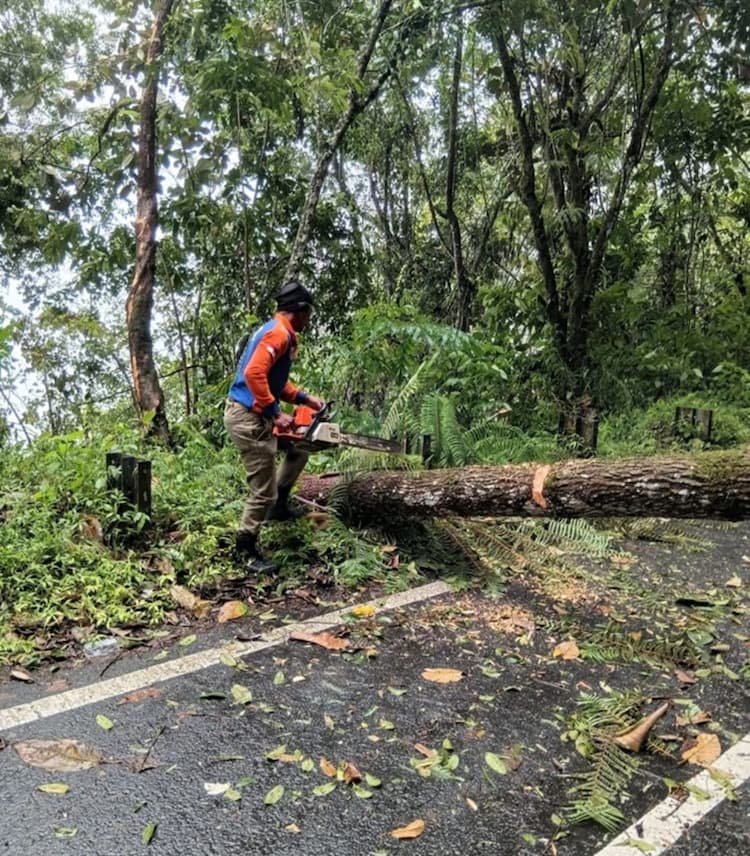 tiga_kecamatan_di_dairi_dilanda_bencana_jalan_putus_dan_lahan_petani_rusak_