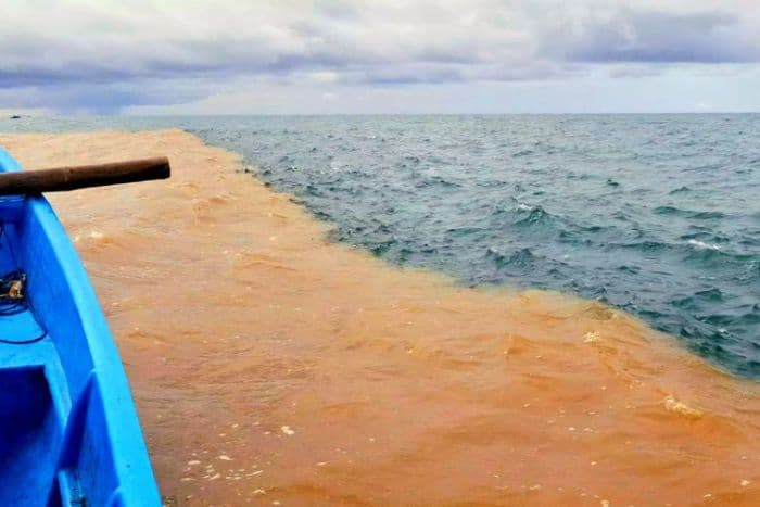 fenomena_dua_warna_di_pantai_baron_akibat_luapan_sungai_bawah_tanah