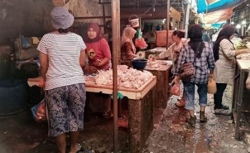 harga_daging_ayam_potong_di_siantar_melonjak_daya_beli_turun